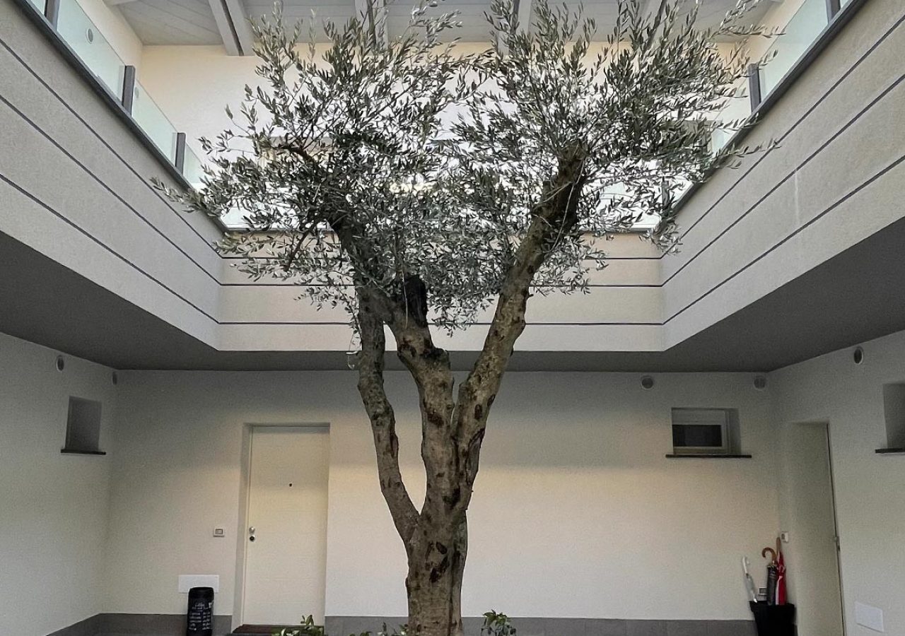 Into-System Treviolo cappotto sistema Grignolin cartongessi